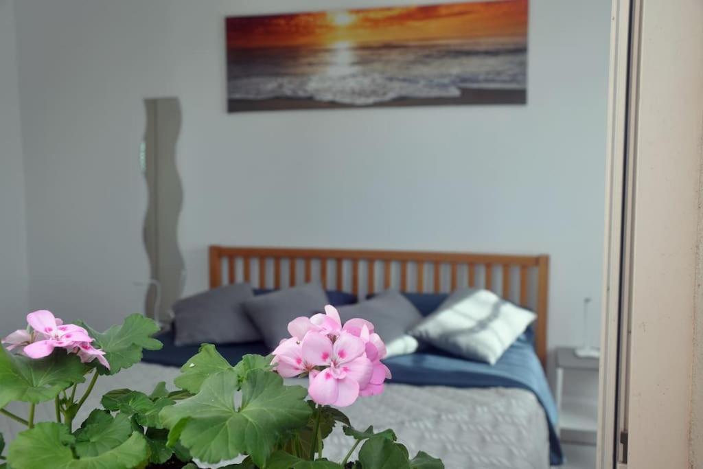 Casa Soprani - Relax Marchigiano Apartment คาสเตลฟิดาร์โด ภายนอก รูปภาพ